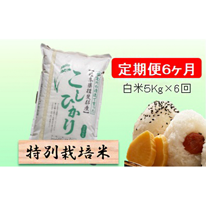 特別栽培米★[定期便] 6カ月★毎月 白米５kg 【コシヒカリ】 お米 令和7年産 王様 モチモチ 艶 食感 バランス 安心 安全 美味しい 