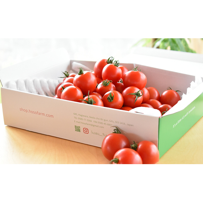 細野ファームの中玉トマト　フルティカ（1.5kg） 野菜 とまと 