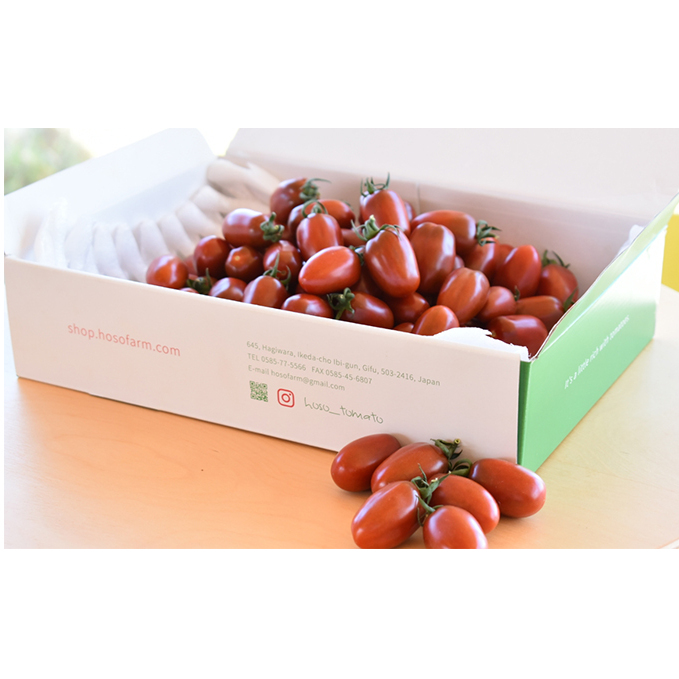 チョコスピカ　1.5kg 野菜 トマト ミニトマト とまと 