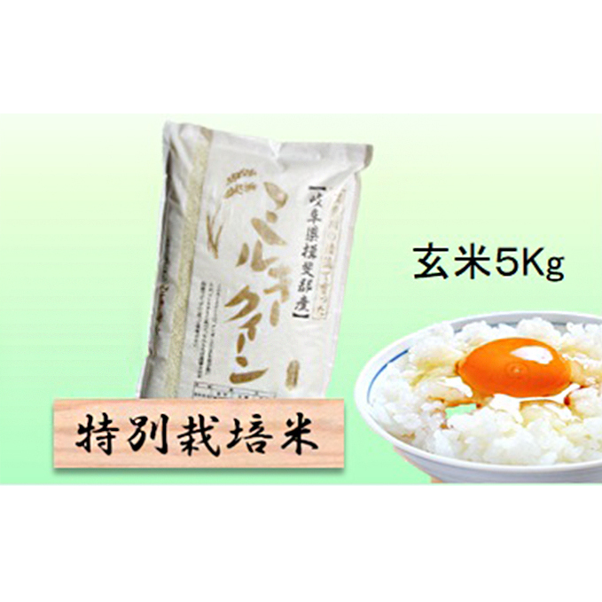 特別栽培米★玄米5kg 【ミルキークイーン】 お米 ブランド米 銘柄米 ご飯 おにぎり モチモチ 低アミロース米 冷めても美味しい