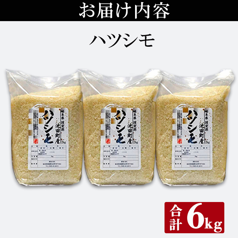 米 6kg (2kg×3袋) ハツシモ 池田町産 8分づき セット 分つき精米 お米 おこめ こめ コメ ごはん ご飯 有機肥料 減農薬栽培 はつしも  岐阜県 | 岐阜県池田町 | JRE MALLふるさと納税