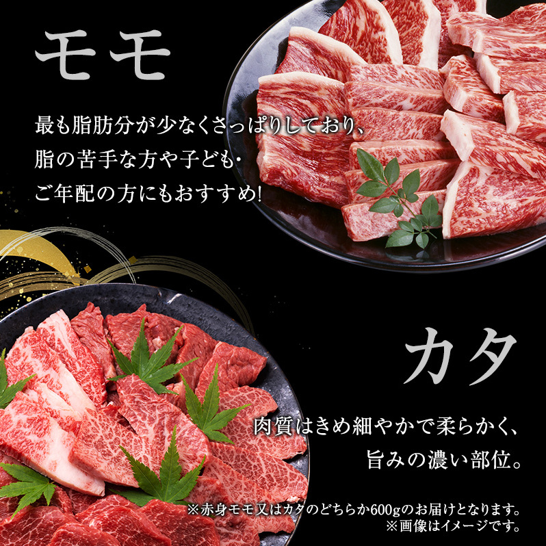 牛肉 飛騨牛 焼き肉 セット 赤身 モモ 又は カタ 600ｇ 黒毛和牛 Ａ5 美味しい お肉 牛 肉 和牛 焼肉 BBQ バーベキュー  【岐阜県池田町】 岐阜県池田町 JRE MALLふるさと納税