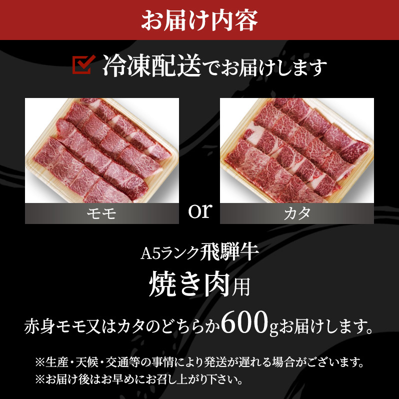 牛肉 飛騨牛 焼き肉 セット 赤身 モモ 又は カタ 600ｇ 黒毛和牛 Ａ5 美味しい お肉 牛 肉 和牛 焼肉 BBQ バーベキュー  【岐阜県池田町】 岐阜県池田町 JRE MALLふるさと納税