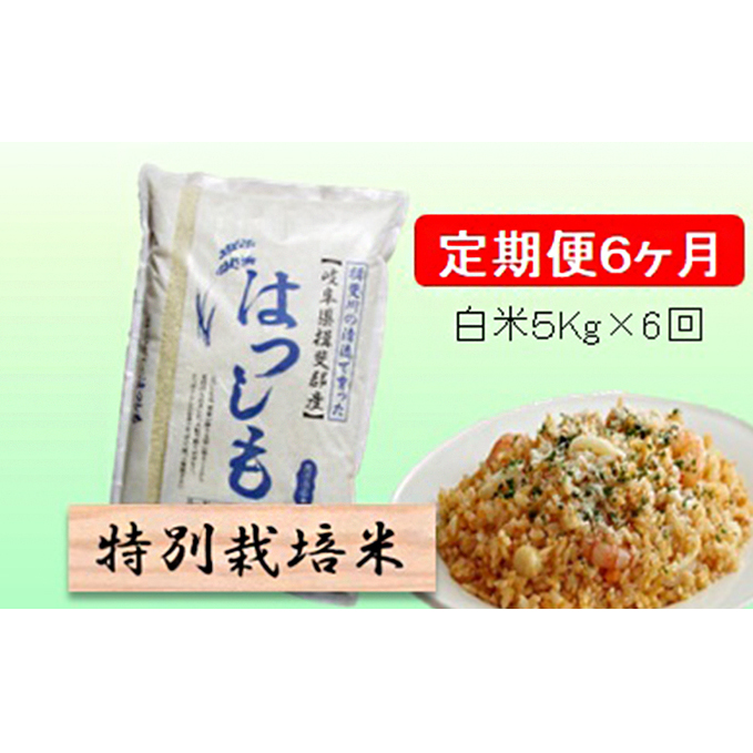 特別栽培米★[定期便] 6カ月★毎月 白米５kg 【ハツシモ】 お米 令和7年産 幻のお米 大粒 アッサリ お寿司 丼物 炒め物 安心 安全 美味しい 
