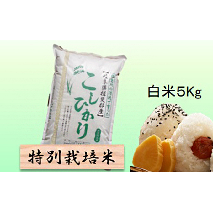 特別栽培米★白米５kg 【コシヒカリ】 お米 ブランド米 銘柄米 精米 ご飯 おにぎり お米の王様 バランス 