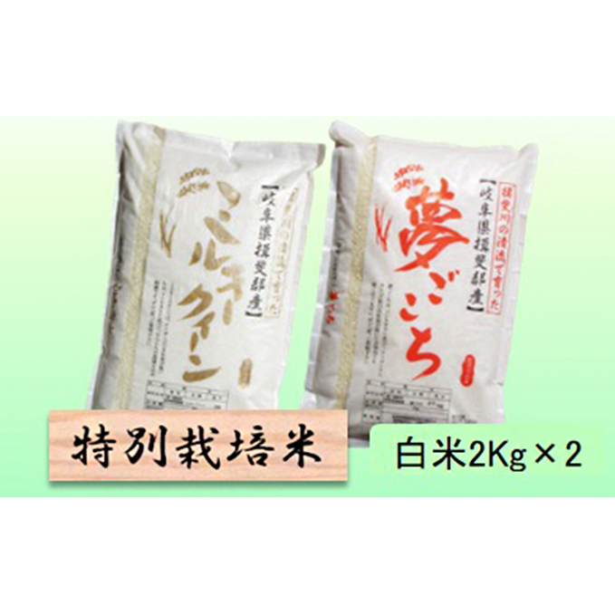 特別栽培米★白米4kg 【ミルキークイーン・夢ごこち】 お米 ブランド米 銘柄米 精米 ご飯 おにぎり モチモチ 冷めても美味しい