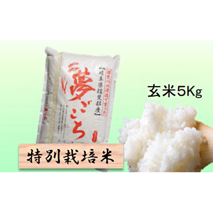 特別栽培米★玄米5kg 【夢ごこち】 お米 ブランド米 銘柄米 ご飯 おにぎり モッチリ 甘い 低アミロース米 冷めても美味しい