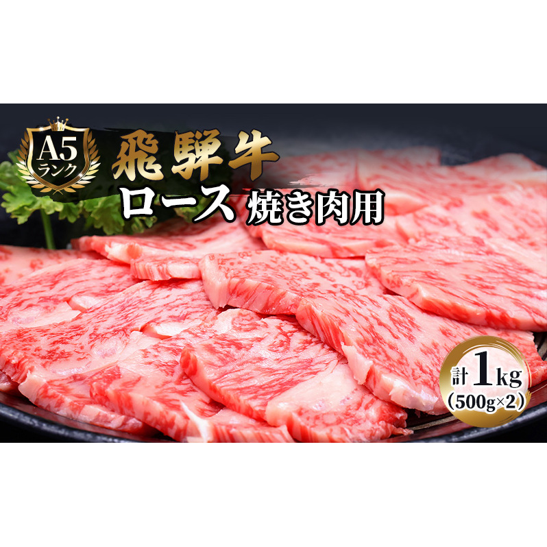 ふるさと納税　飛騨牛 牛肉 焼肉 ロース 500g×2 計1kg A5 和牛 