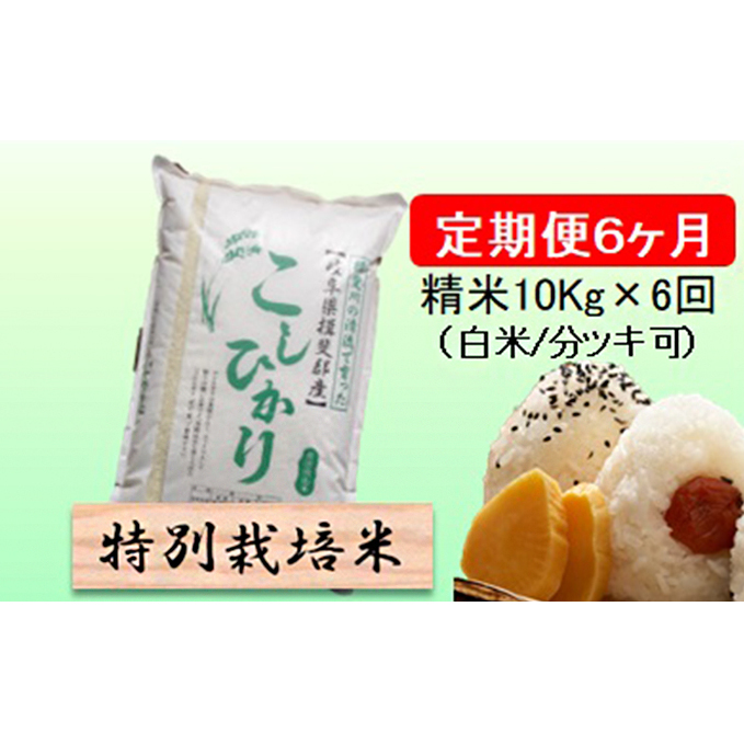 特別栽培米★[定期便] 6カ月★毎月 精米10kg（白米/7分/5分ツキ可）【コシヒカリ】　玄米は別に出品 お米 令和7年産 王様 モチモチ 艶 食感 バランス 安心 安全 美味しい 