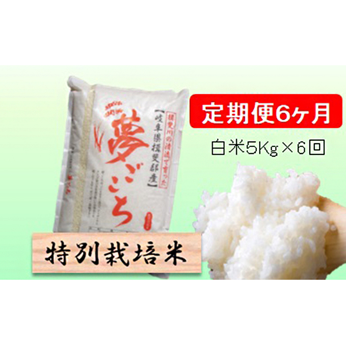 特別栽培米★[定期便] 6カ月★毎月 白米５kg 【夢ごこち】 お米 令和7年産 低アミロース モチモチ お弁当 おにぎり 安心 安全 美味しい 糖質 