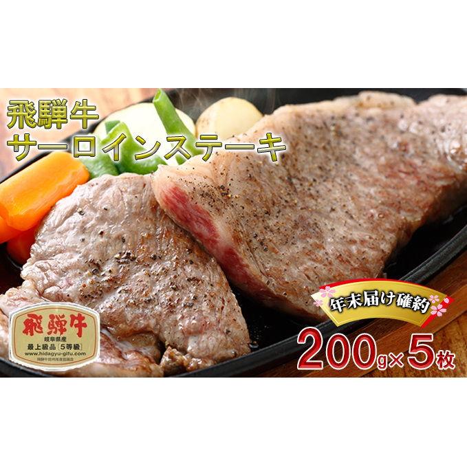 年末届け確約 飛騨牛 ステーキ サーロイン 200g×5枚 計1kg A5 牛肉 和牛 サーロインステーキ お肉 霜降り ブランド和牛
