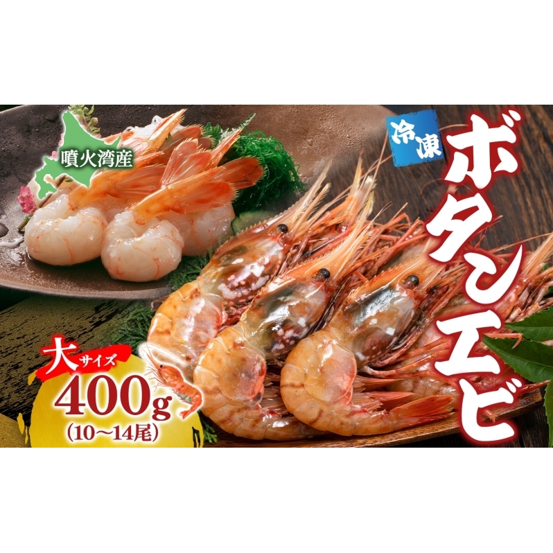 北海道 噴火湾産 冷凍ボタンエビ 大サイズ 400g 10～14尾 ボタンエビ エビ えび 海老 北海道産 旬 ぼたんえび 刺身 牡丹海老 海鮮 魚介 甲殻類 味噌汁 鍋 海鮮丼 冷凍 洞爺湖町