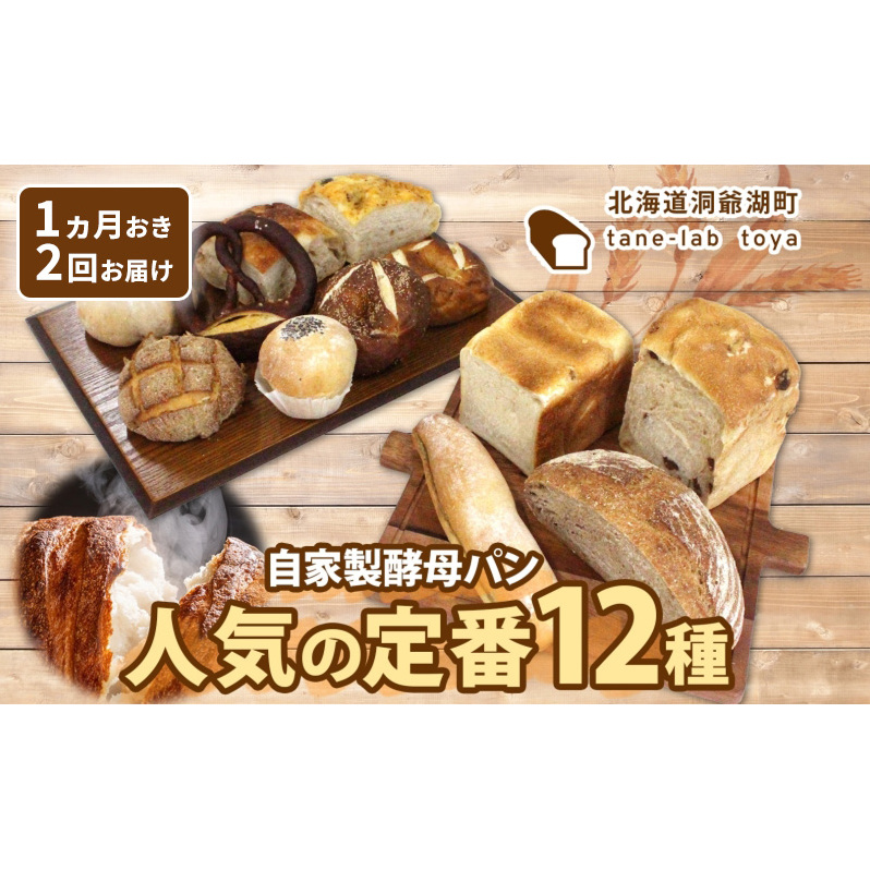 自家製酵母パン 人気の定番セット Lサイズ 1ヵ月おきに2回お届け 小分けパック