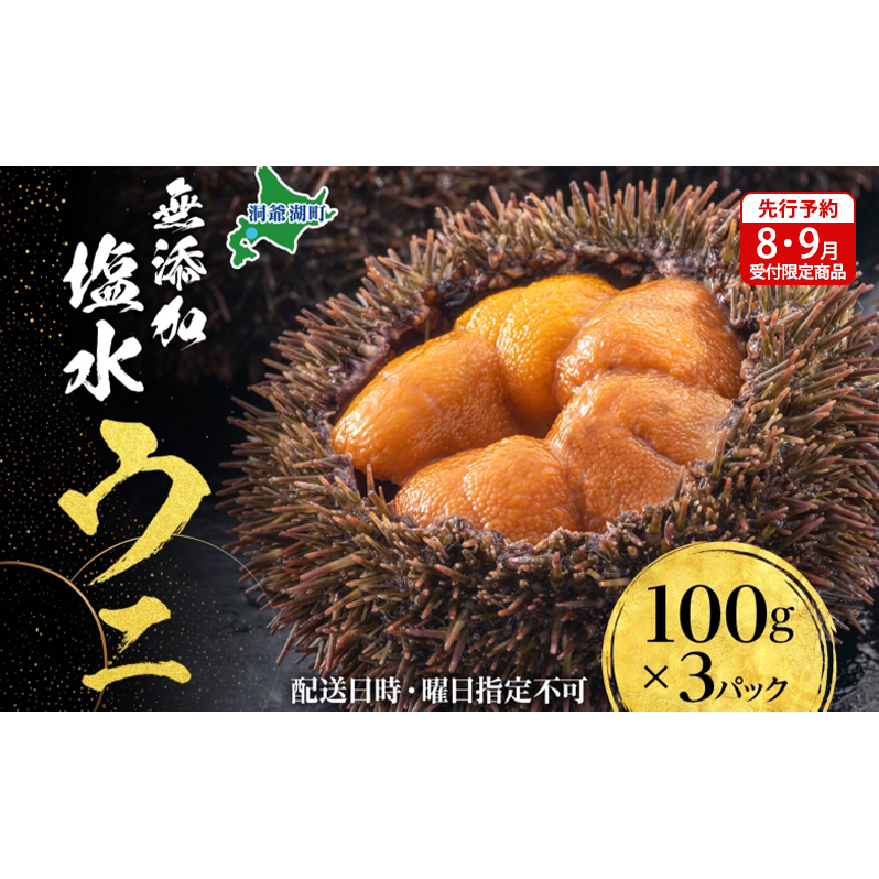 【先行予約】北海道 無添加塩水 ウニ 100g 3パック 11月上旬～12月上旬頃まで順次出荷 バフン ムラサキ うに 雲丹 海鮮 小川商店