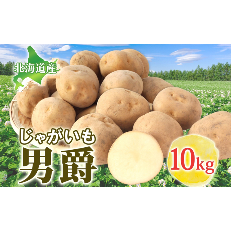 男爵 10kg 2025年9月上旬~12月中旬までお届け ダンシャク コロッケ ジャガイモ 芋 甘い ホクホク ポテト カレー 調理 料理 煮込み料理 旬 野菜 お取り寄せ 北海道 洞爺湖町