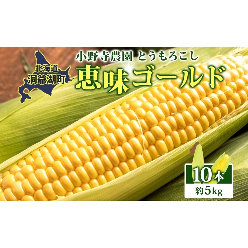 北海道 とうもろこし 恵味ゴールド 約5kg 10本入り 2026年8月11日~8月末頃お届け トウモロコシ コーン 甘い 産地直送 BBQ とうきび 国産 人気 バーベキュー お取り寄せ 北海道産 洞爺湖町 小野寺農園