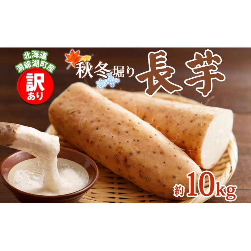 洞爺湖町産 訳あり 長芋 約10kg 2025年12月上旬から順次お届け 長いも 国産 北海道産 訳アリ 家庭用 不揃い とろろ 山かけ ステーキ 生食 調理 野菜 芋 旬 北海道 洞爺湖町