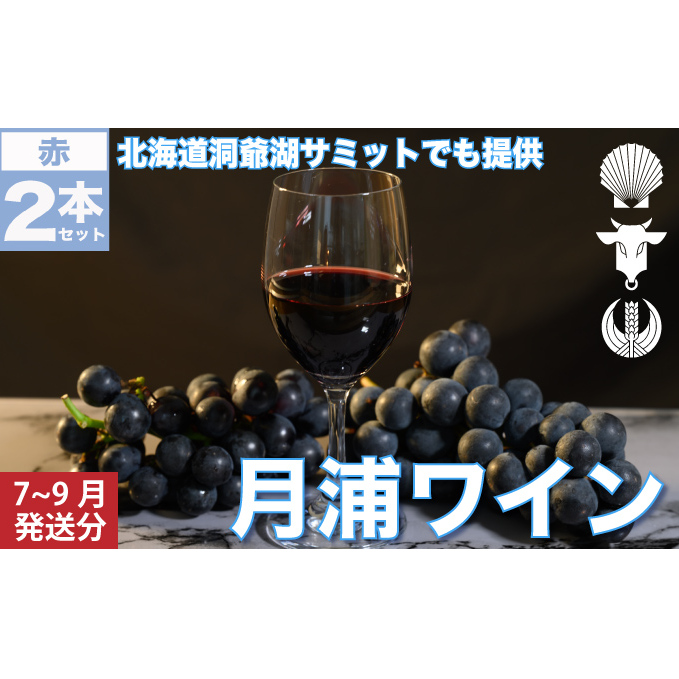 月浦ワイン 赤750ml×2本 7月～9月配送［冷蔵］赤ワイン お酒 アルコール ブドウ酒 まろやか 深い味わい 家飲み 宅飲み お祝い 記念日 大切な日 