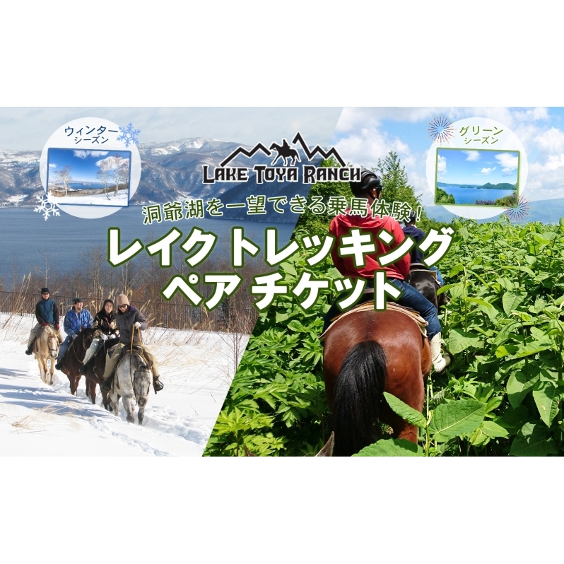  北海道 乗馬体験 40分コース ペア券 ホース トレッキング 絶景 自然 貴重 体験 経験 景色 ふれあい 血統馬 初心者 本格的 のんびり お子様 大人 楽しい レイクトーヤランチ 洞爺湖 体験チケット 