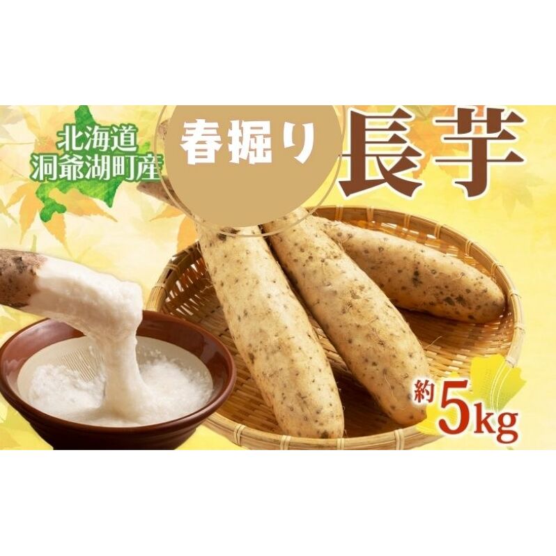 北海道 洞爺湖町産 春掘り 長芋 約5kg 先行受付 4月中旬～下旬にお届け 長いも ながいも 芋 山芋 山うなぎ とろろ ステーキ 千切り 万能 旬 秋 野菜 根菜 常温 塩田農園 洞爺湖町 