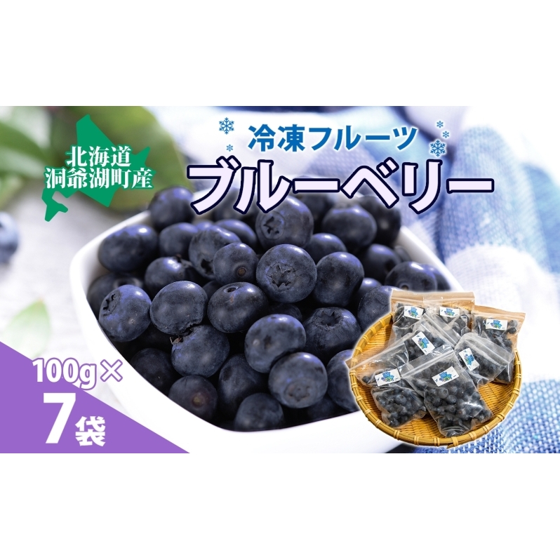 北海道産 ブルーベリー 100g 7袋 果物 果実 くだもの 冷凍食品 おやつ デザート ジュース ヨーグルト ジャム スイーツ 簡単 便利 一人暮らし 小分け 製菓 送料無料 冷凍 北海道 洞爺湖町