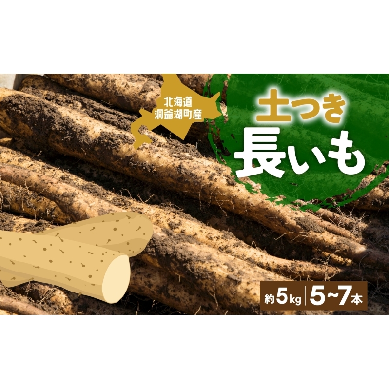 北海道産 青野農園 土つき 長いも 約5kg 5～7本 11月下旬～12月下旬ごろお届け ながいも 土付き 北海道 長芋 自然薯 とろろ いも イモ 旬 野菜 農作物 産地直送 お取り寄せ 送料無料 根菜 とろろご飯 