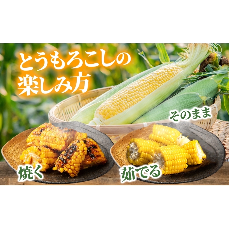 北海道産 とうもろこし 恵味 ゴールド 2L 10本 8月下旬～9月末頃お届け 朝採り 恵味 めぐみトウモロコシ スイート コーン 甘い 新鮮 旬 夏  野菜 産地直送 塩田農園 送料無料 北海道 洞爺湖町 | 北海道洞爺湖町 | JRE MALLふるさと納税