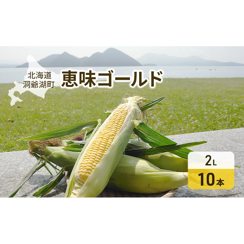 北海道産 とうもろこし 恵味 ゴールド 2L 10本 8月下旬～9月末頃お届け 朝採り 恵味 めぐみトウモロコシ スイート コーン 甘い 新鮮 旬 夏  野菜 産地直送 塩田農園 送料無料 北海道 洞爺湖町 | 北海道洞爺湖町 | JRE MALLふるさと納税