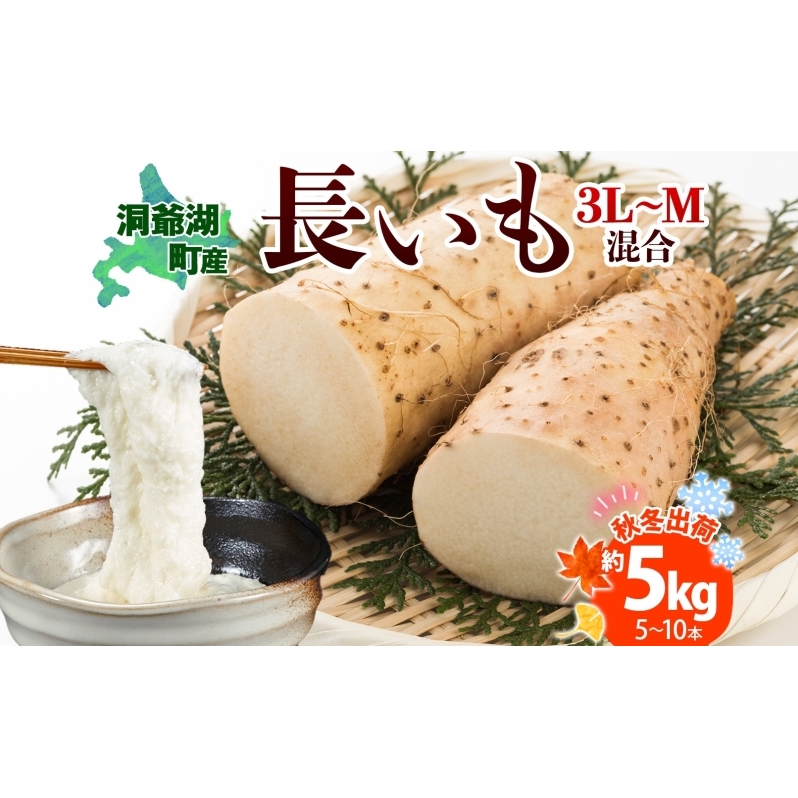 北海道産 長いも 秋冬出荷 約5kg 2024年11月中旬～2025年3月下旬お届け 長芋 ながいも とろろ 農作物 野菜 新鮮 根菜 新物 山かけ 産地直送 お取り寄せ 送料無料 冷蔵 北海道 洞爺湖町