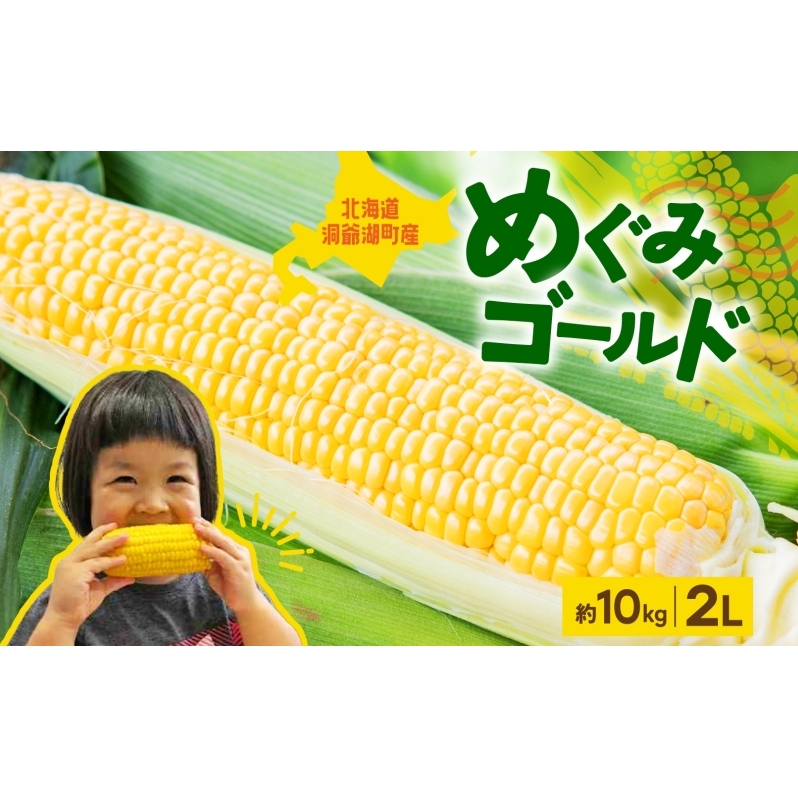 北海道産 青野農園 めぐみ ゴールド 2Lサイズ 約10kg 先行受付 2026年8月中旬頃から出荷 スイートコーン 北海道 とうもろこし トウモロコシ コーン 恵味 旬 朝採れ 新鮮 野菜 農作物 産地直送 甘い 