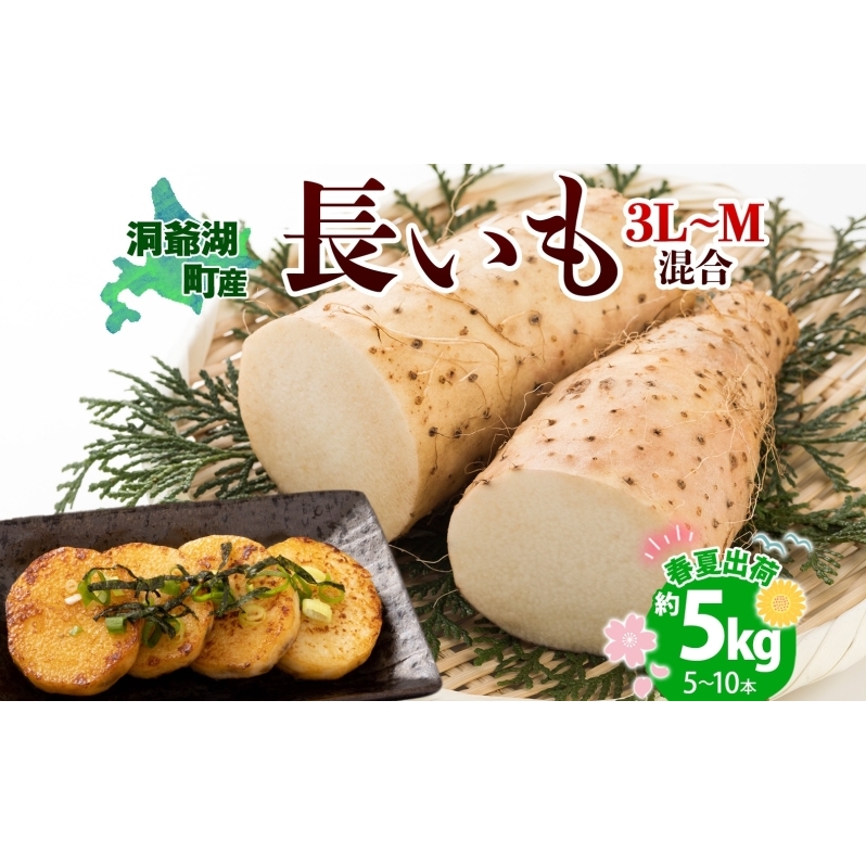 北海道産 長いも 春夏出荷 約5kg 2025年5月上旬～7月下旬頃お届け 長芋 ながいも とろろ 農作物 野菜 新鮮 根菜  山かけ 産地直送 お取り寄せ 送料無料 冷蔵 北海道 洞爺湖町