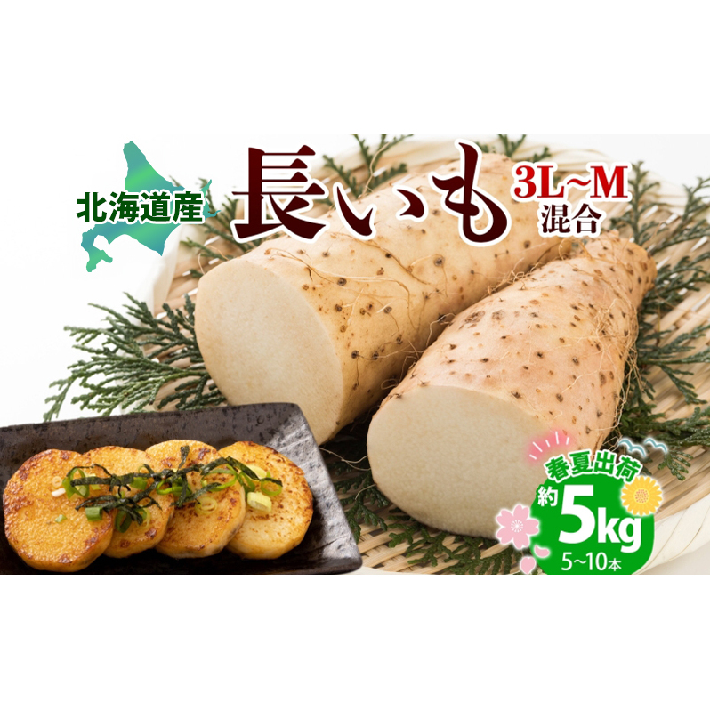 北海道産 長いも 春夏出荷 約5kg 2025年5月上旬～7月下旬頃お届け 長芋 ながいも とろろ 農作物 野菜 新鮮 根菜  山かけ 産地直送 お取り寄せ 送料無料 冷蔵 北海道 洞爺湖町