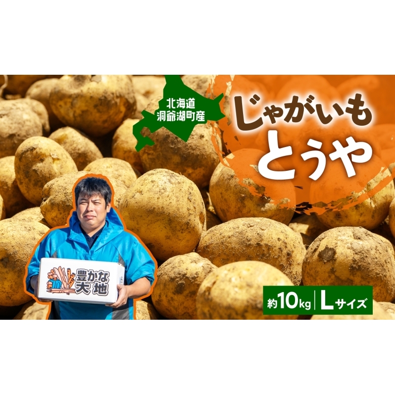 北海道産 青野農園 じゃがいも とうや Lサイズ 約10kg 10月初旬～12月下旬頃お届け 北海道 ジャガイモ トウヤ 馬鈴薯 ポテト 芋 いも イモ 黄色 旬 野菜 農作物 産地直送 お取り寄せ 送料無料 国産 