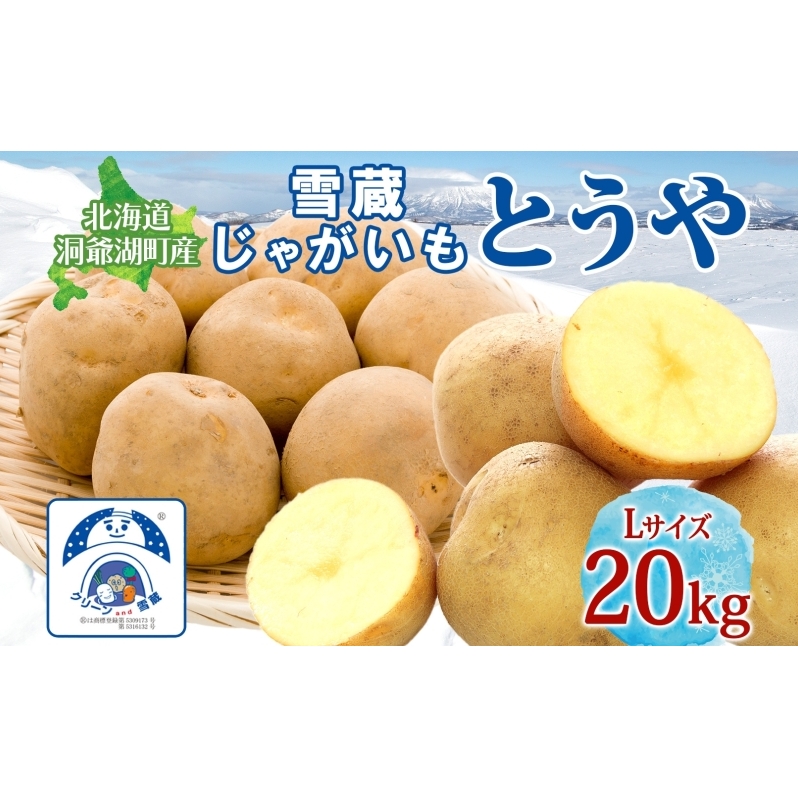 雪蔵じゃがいも 20kg とうやＬサイズ 2026年3月上旬～3月末までお届け ジャガイモ 芋 甘い なめらか しっとり ポタージュ カレー 調理 料理 煮込み料理 雪蔵 旬 季節 農作物 野菜 根菜 北海道 洞爺湖町 