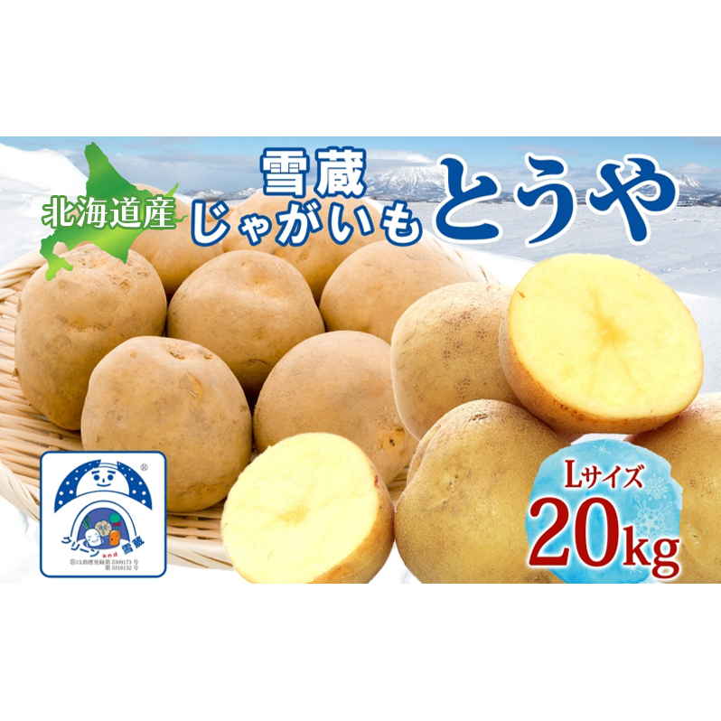 雪蔵じゃがいも 20kg とうやＬサイズ 2026年3月上旬～3月末までお届け ジャガイモ 芋 甘い なめらか しっとり ポタージュ カレー 調理 料理 煮込み料理 雪蔵 旬 季節 農作物 野菜 根菜 北海道 洞爺湖町 