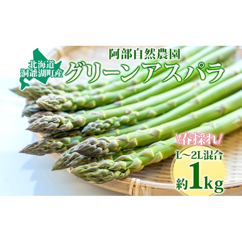 北海道 洞爺湖町産 グリーンアスパラ 約1kg L～2L混合 5月下旬頃お届け 2026 先行受付 路地 アスパラ アスパラガス 野菜 農作物 サラダ 天ぷら 新鮮 国産 人気 お取寄せ 産地直送 冷蔵 洞爺湖 