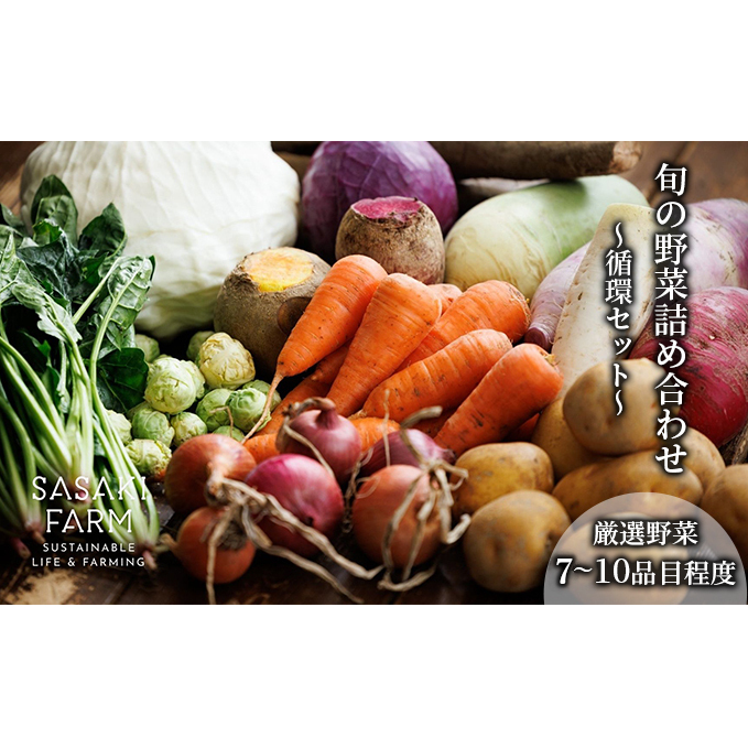 〈自然栽培〉佐々木ファーム 旬の野菜詰め合わせ ～循環セット～ 厳選野菜7-10品目程度 3月よりお届け やさい 直送 北海道 洞爺湖町 野菜の詰め合わせ 北海道産 北海道産野菜 