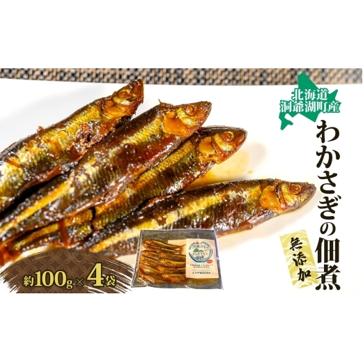 洞爺湖・わかさぎの佃煮400g(100g×4袋) 魚貝類 ワカサギ 加工食品 