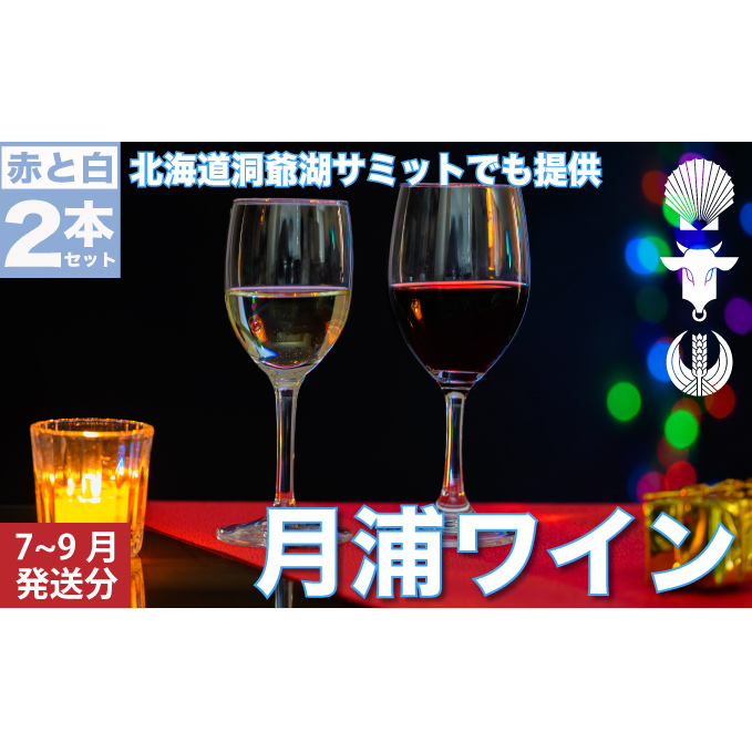 月浦ワイン2本セット（白・赤750ml）7月～9月配送［冷蔵］白・赤ワイン お酒 白ワイン アルコール ワインセット 飲み比べ フルーティ 深い味わい 家飲み 宅飲み お祝い 記念日 