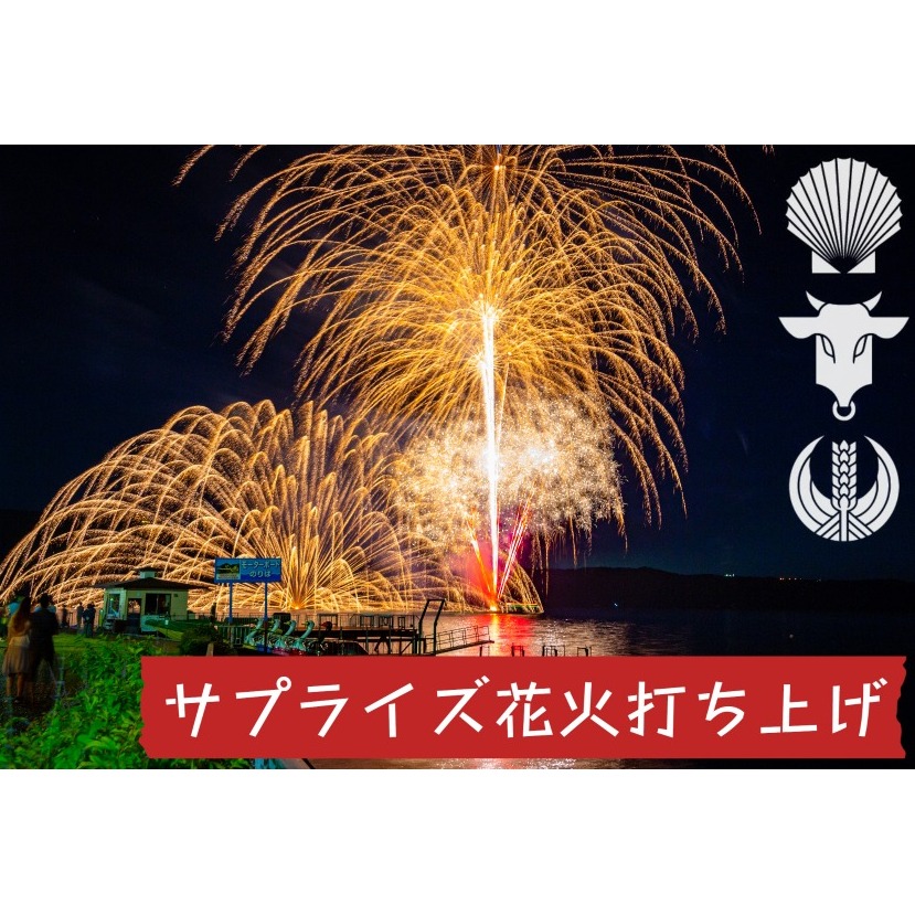 洞爺湖温泉 サプライズ 花火打ち上げ券 花火大会チケット チケット イベント 