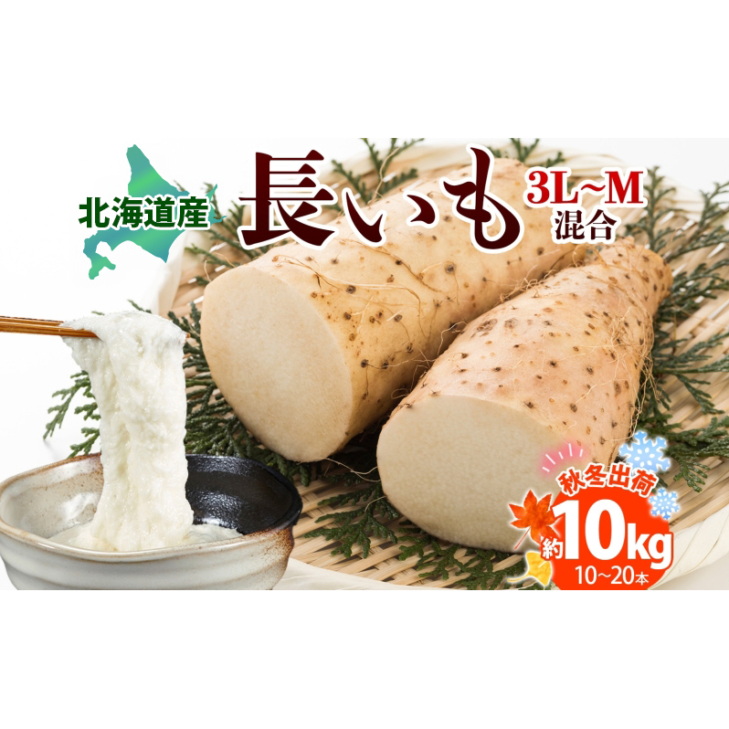 北海道産 長いも 秋冬出荷 約10kg 2025年11月中旬~2026年3月下旬お届け 長芋 ながいも とろろ 農作物 野菜 新鮮 根菜 新物 山かけ 産地直送 お取り寄せ 送料無料 冷蔵 北海道 洞爺湖町
