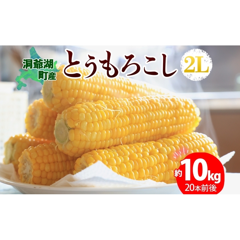 北海道産 とうもろこし 2L 約10kg 20本前後 2025年8月下旬～9月上旬頃お届け とうきび 新鮮 旬 トウモロコシ スイートコーン 産地直送 送料無料 北海道 洞爺湖町