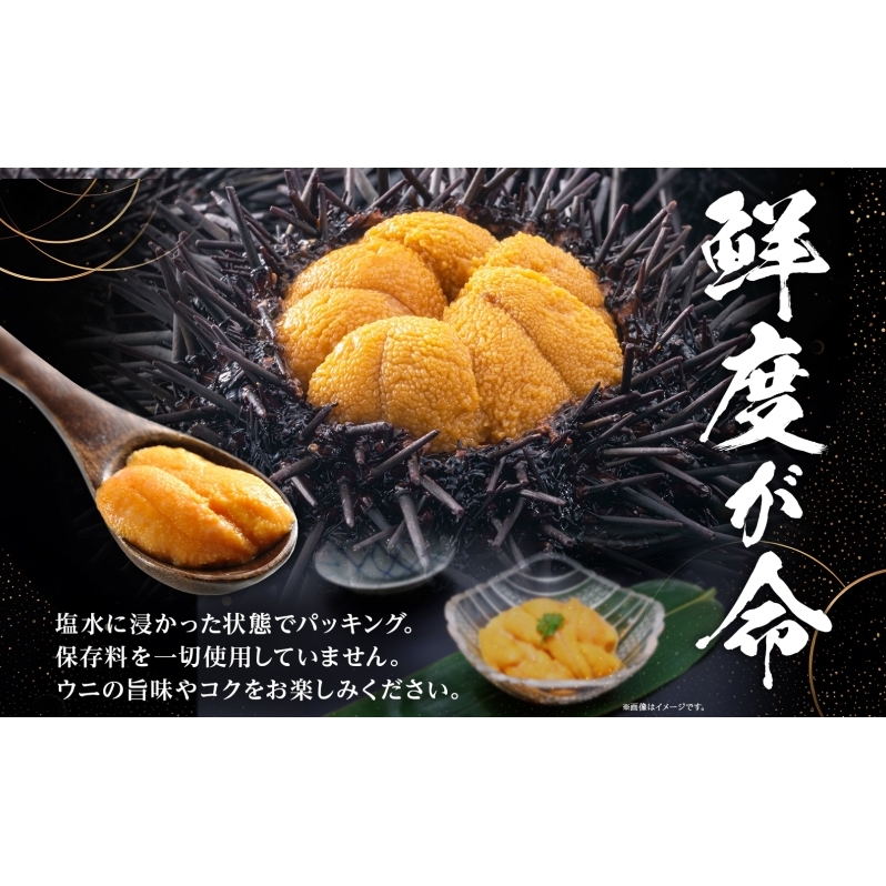北海道 無添加塩水 ウニ 100g 1パック 6月中旬～8月末頃まで順次