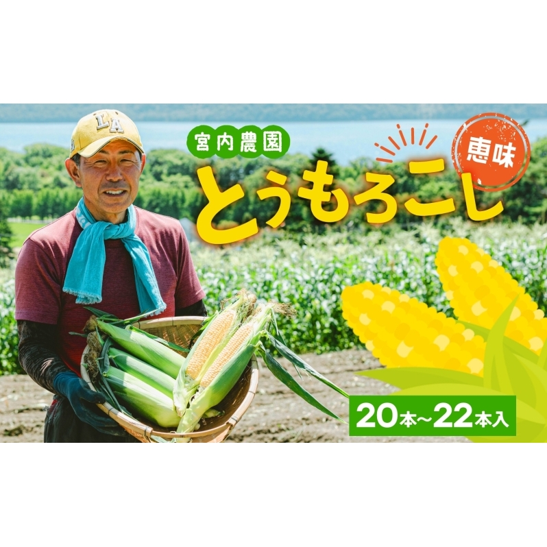 北海道産 とうもろこし 糖度20度以上 恵味 めぐみ 2L 20～22本 2026年7月下旬～8月下旬頃お届け 先行受付 朝採り トウモロコシ スイート コーン 甘い 旬 夏 野菜 新鮮 産地直送 宮内農園 洞爺湖町 