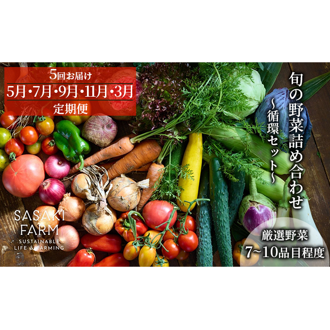 [5回お届け 5月・7月・9月・11月・3月 定期便]〈自然栽培〉佐々木ファーム 旬の野菜詰め合わせ ～循環セット～ 厳選野菜7-10品目程度 野菜の詰め合わせ 北海道産 