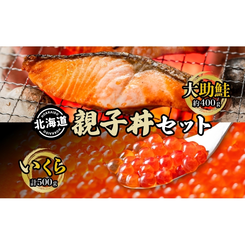 大助といくらの親子丼セット(甘塩大助切身1切 約100g×4切、いくら醤油漬け250g×2個) 鮭 サーモン 魚貝類 魚卵 加工食品 