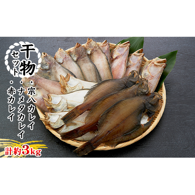 干物セット ふぞろいな仲間たち 魚貝類 加工食品 