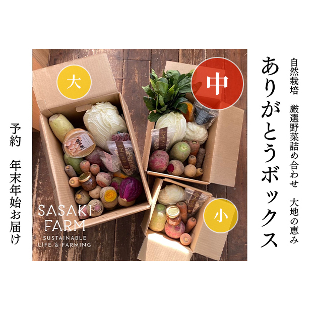旬の野菜詰め合わせ ~ありがとうBOX2025・中~ 12月1日~1月31日頃お届け 北海道 野菜 やさい 詰め合わせ セット 北海道産 常備菜 加工品 自然栽培 佐々木ファーム 産地直送 洞爺湖町