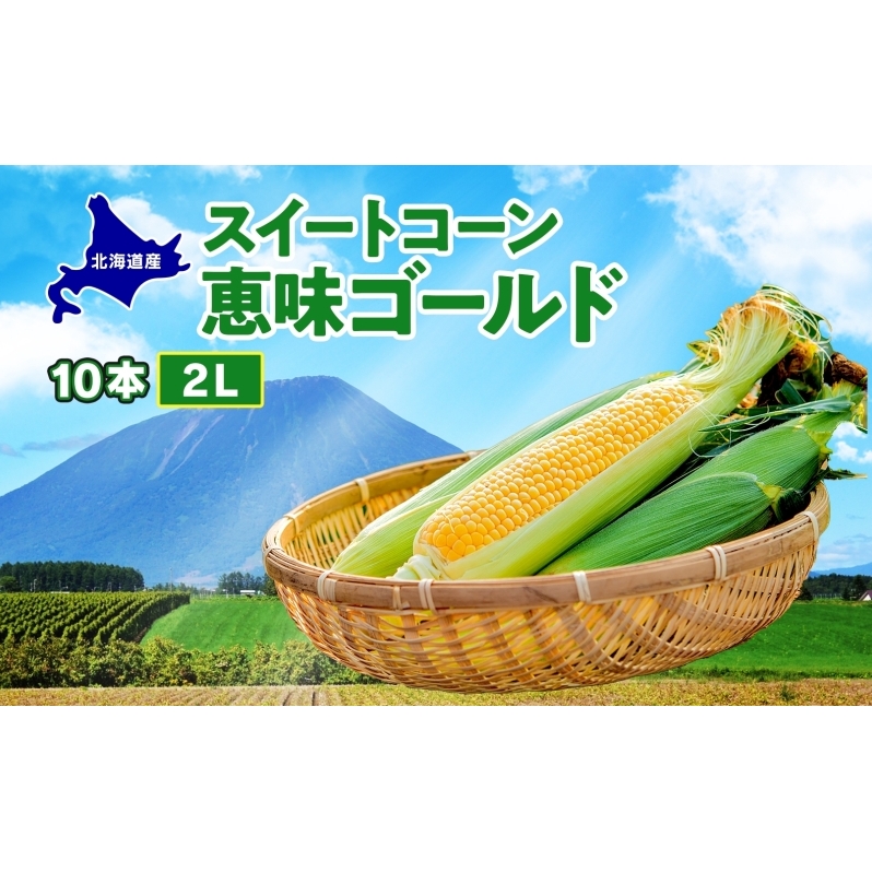  北海道産 スイート コーン めぐみゴールド 2Lサイズ 10本 先行受付 2026年8月上旬～下旬頃お届け とうもろこし 恵味 めぐみ トウモロコシ 旬 完熟 朝もぎ 野菜 産地直送 お取り寄せ 北海道 丸田農園 洞爺湖 
