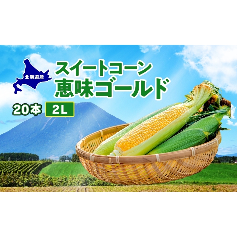  北海道産 スイート コーン めぐみゴールド 2Lサイズ 20本 先行受付 8月上旬～末頃のお届け とうもろこし 恵味 めぐみ トウモロコシ 旬 完熟 朝もぎ 野菜 産地直送 お取り寄せ 北海道 丸田農園 送料無料 洞爺湖 
